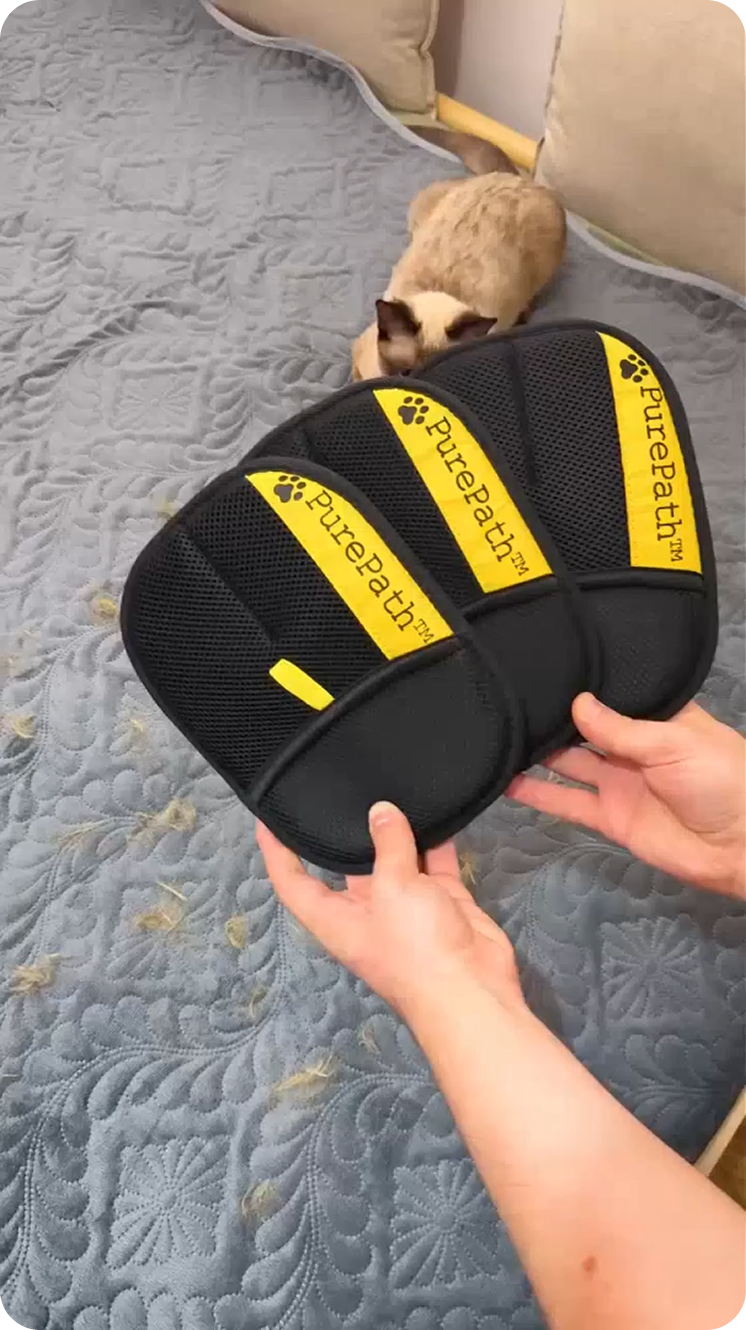 fl-vid-2
