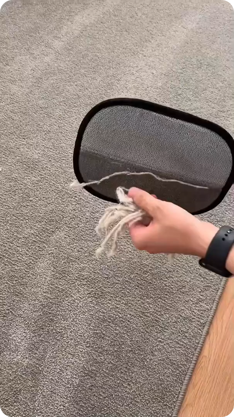 fl-vid-5